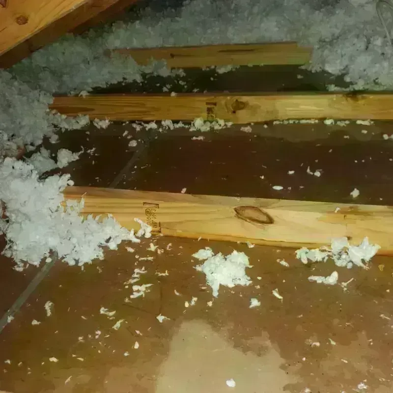 Attic Water Damage in Sandersville, GA