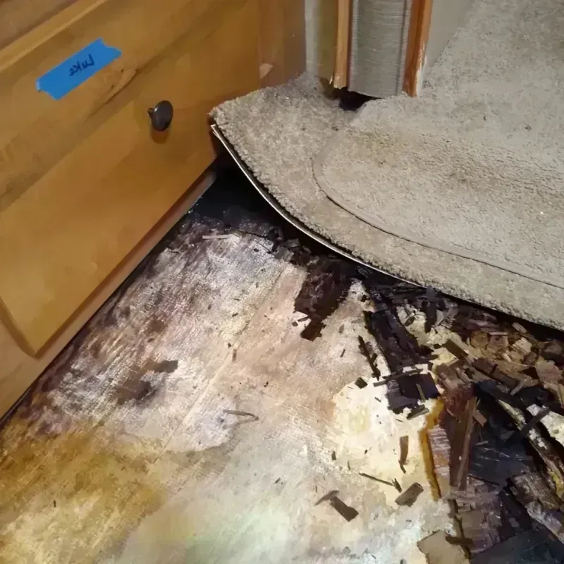 Best Wood Floor Water Damage Service in Sandersville, GA